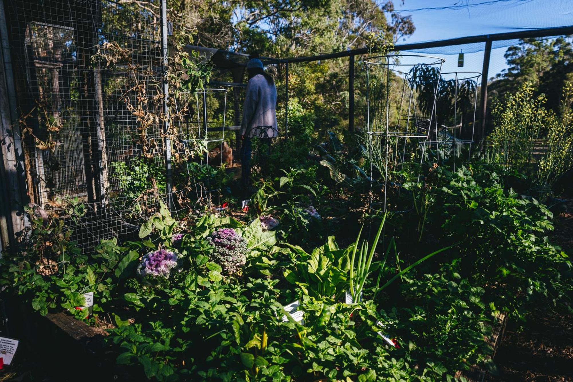Bombah Point Eco Cottages Bulahdelah Esterno foto